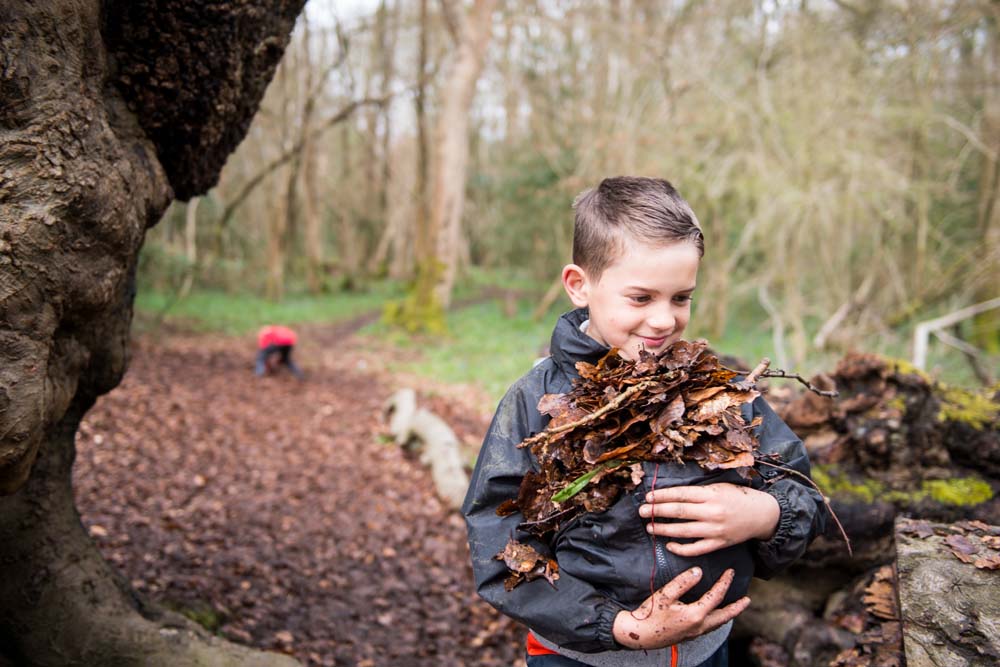 Cub Carrying Leaves